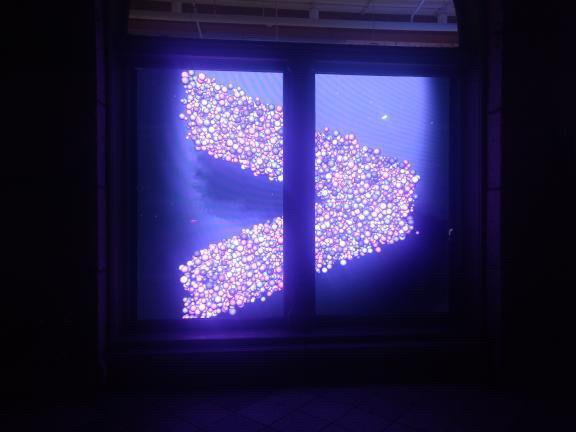 Accenture Interactive Window