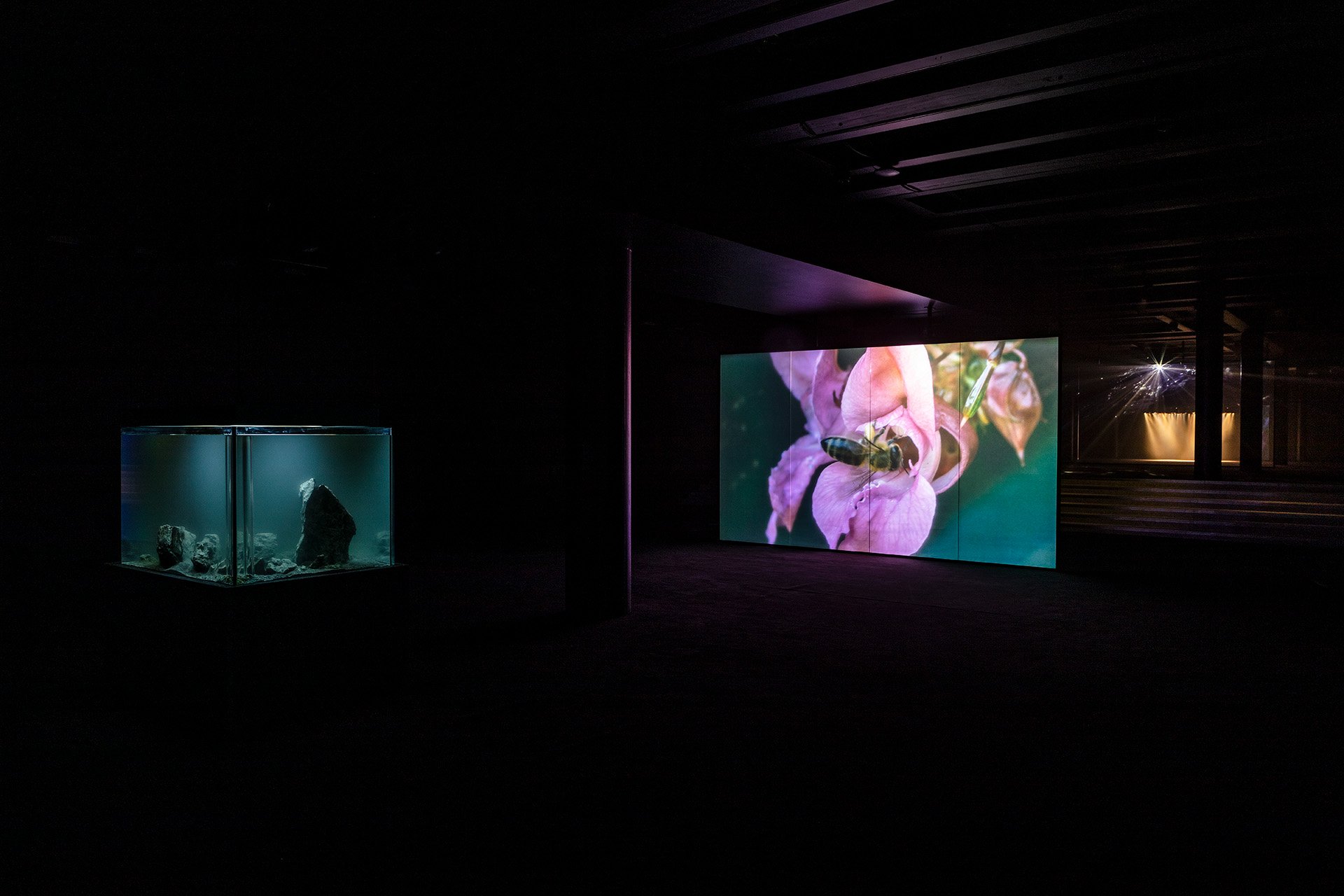 Pierre Huyghe Offspring Exhibition — image 3