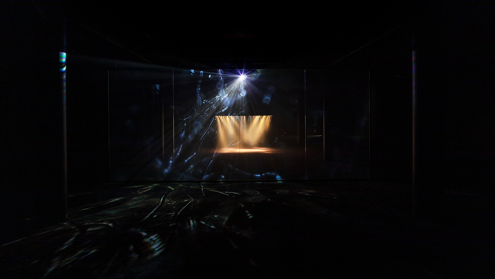 Pierre Huyghe Offspring Exhibition — image 4