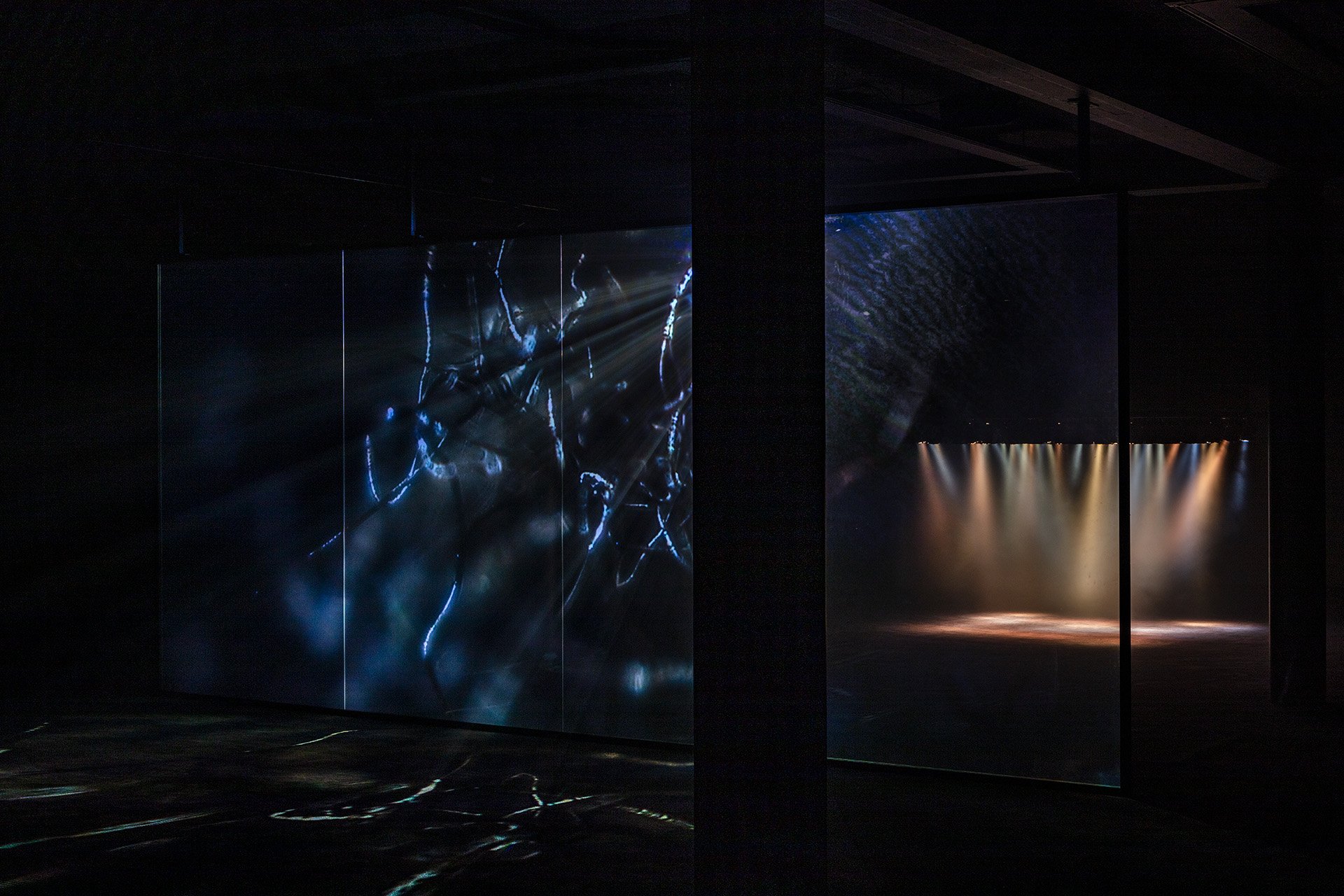 Pierre Huyghe Offspring Exhibition — image 5