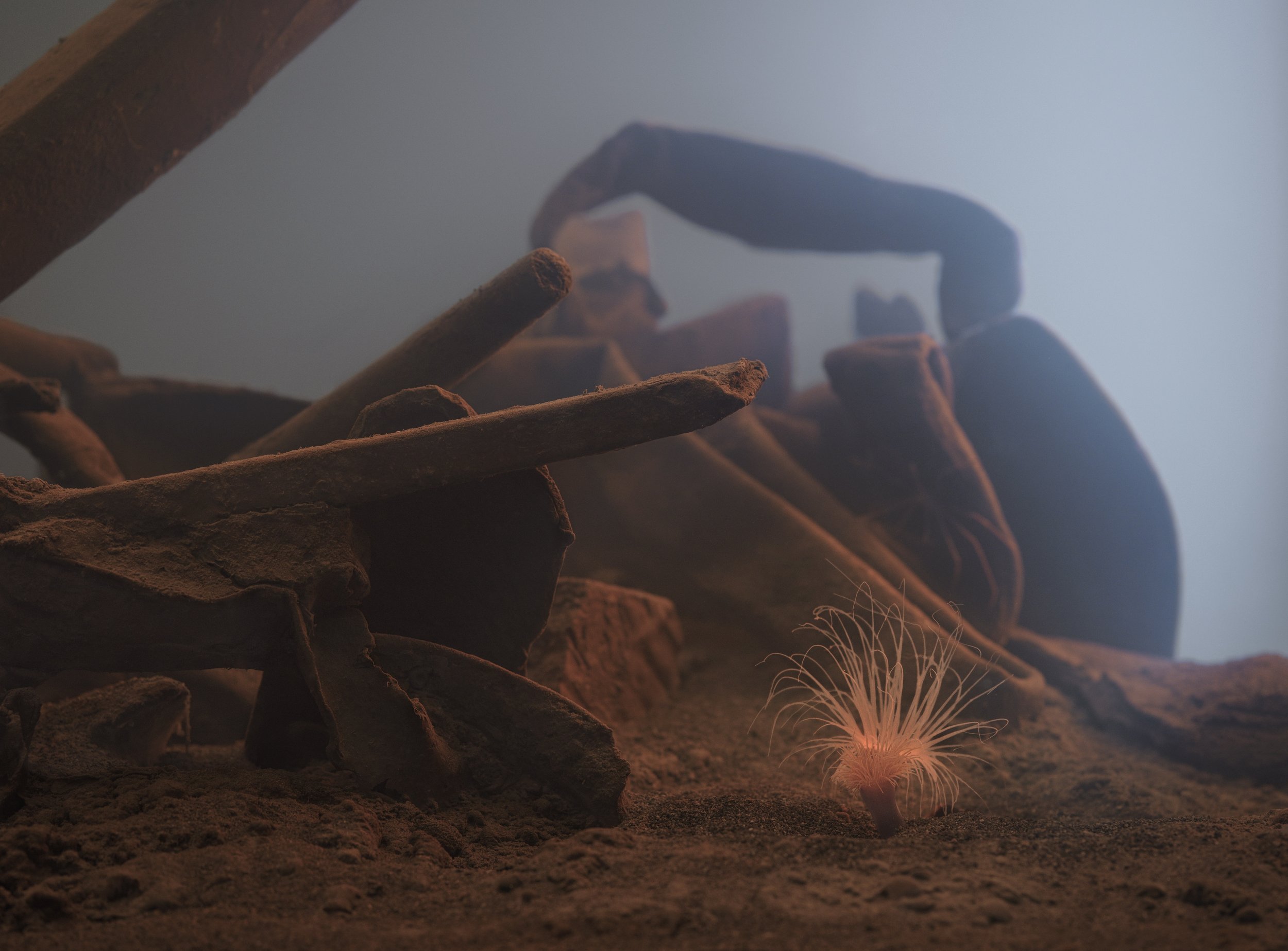 Satellite at Zoli — image 3