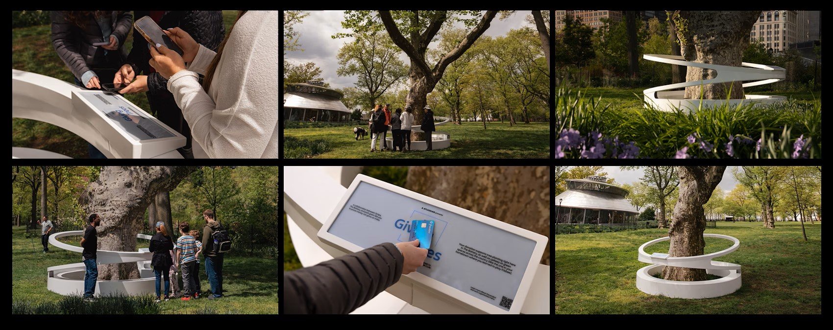 The Giving Trees — image 2